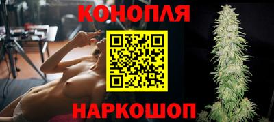 шишки Балашиха