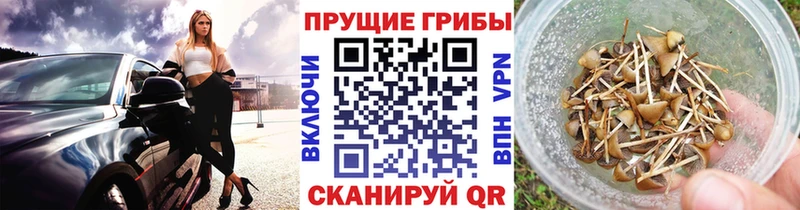 Галлюциногенные грибы GOLDEN TEACHER  Ессентуки 