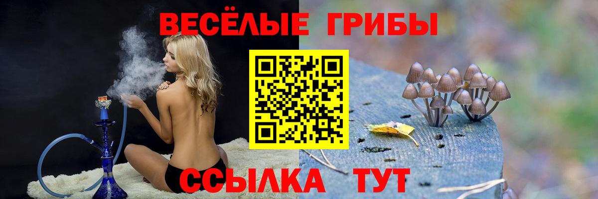Псилоцибиновые грибы прущие грибы  Вход с VPN  сколько стоит  Ессентуки 