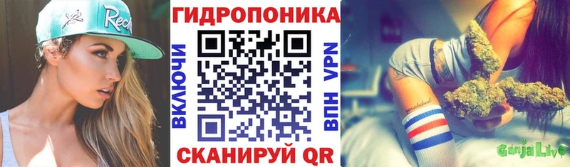 Бошки Шишки Amnesia  blacksprut вход  Ессентуки 